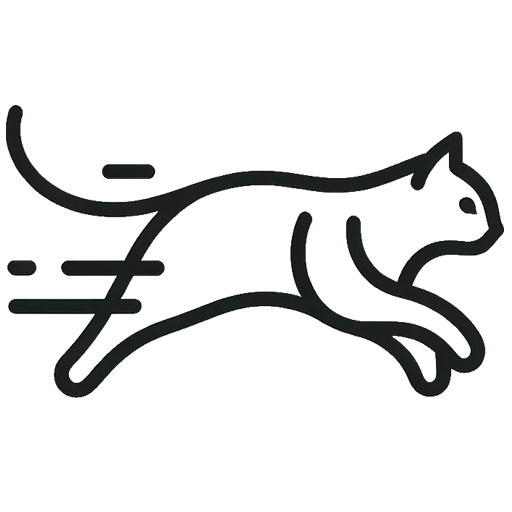 CAT-DM logo